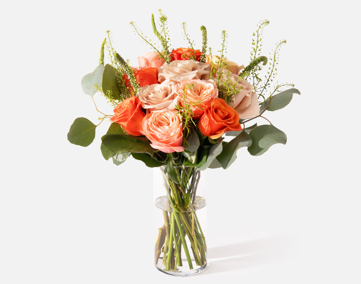 Autumn Birthday Bundle