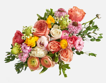 The Peony Sunrise