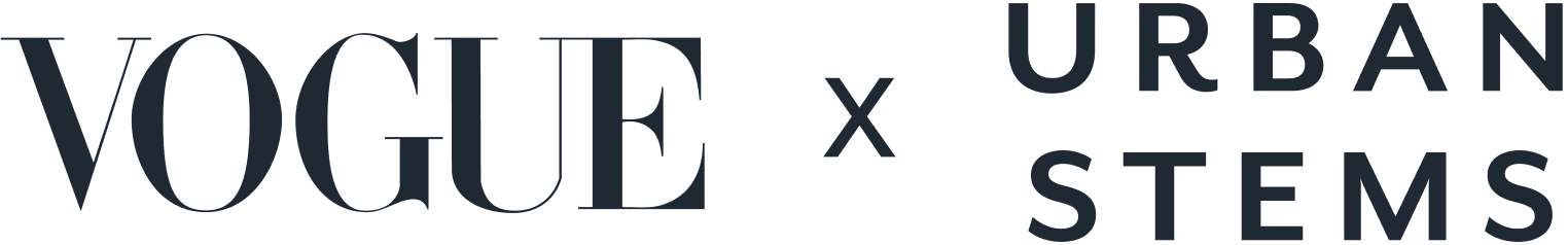 presentation image