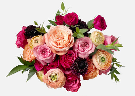 template--20416624853240__feature_grid_RCXWxp image 0