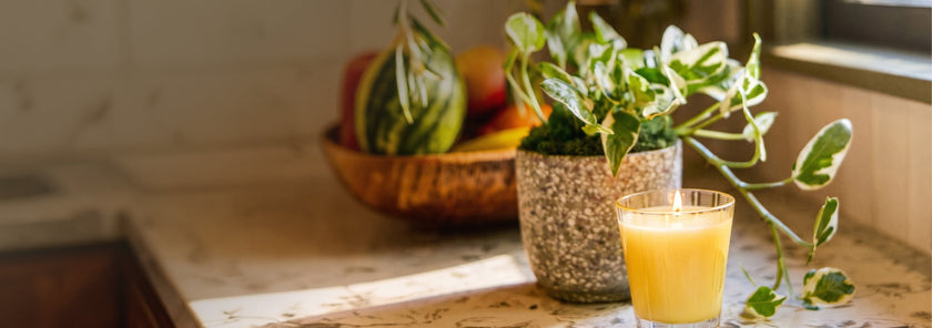 Best Flowers, Plants and Gifts for Father's Day 2026