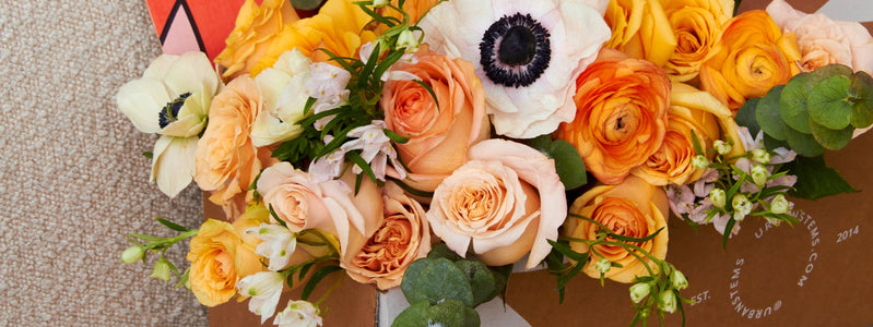 Close up of get well soon flowers in an UrbanStems box