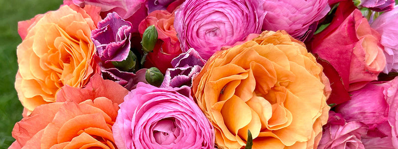 Close up of UrbanStems flowers available for same day and next day delivery