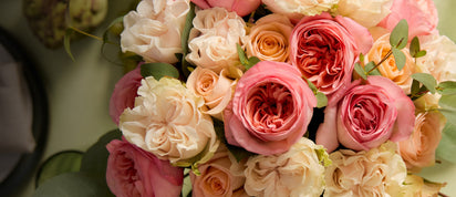 presentation image
