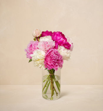 The Grower's Choice Peony