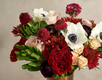 The Autumnal Palette