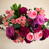 The Bold Bloom