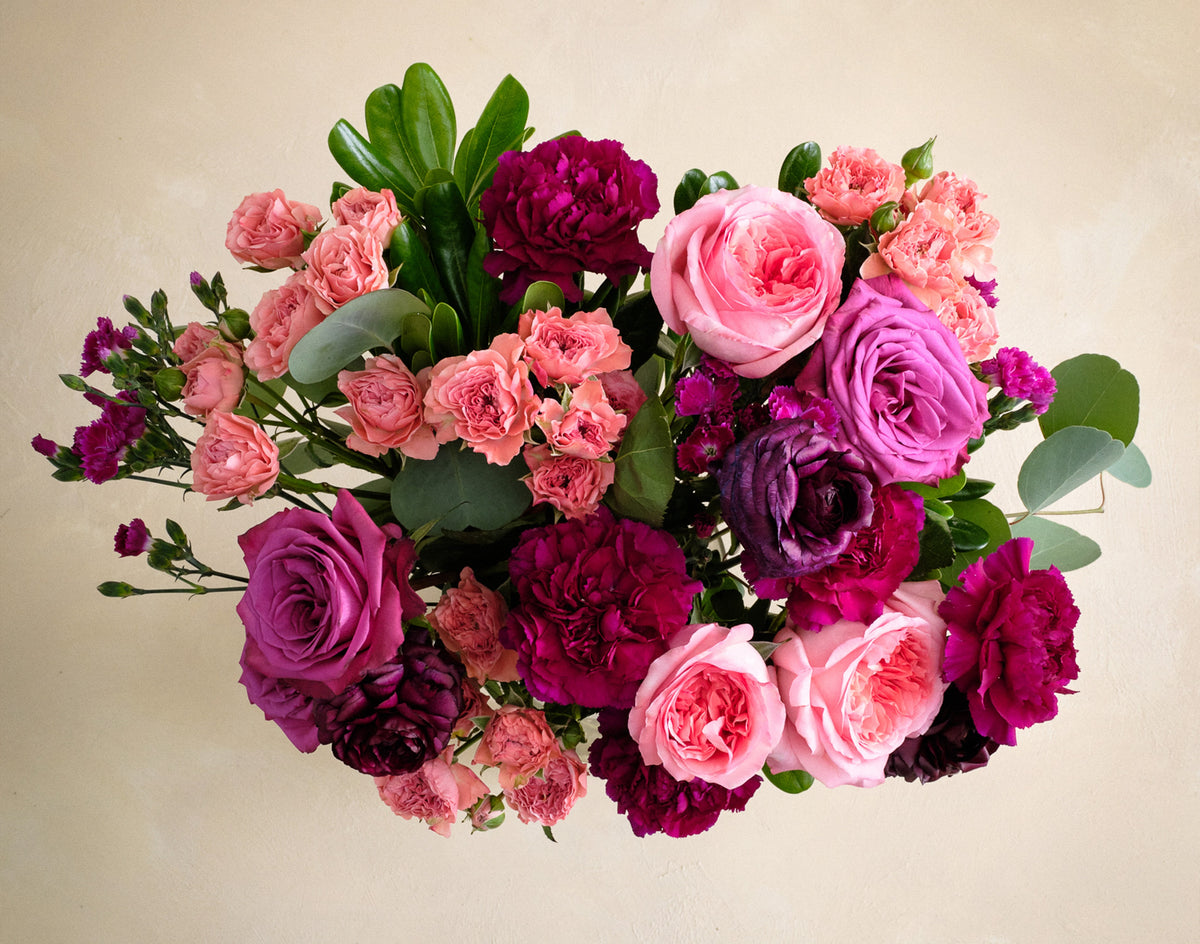 The Bold Bloom