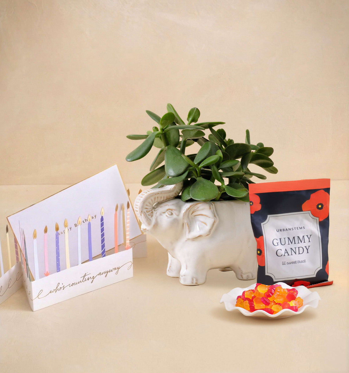 Decorative items including a plant, card, and gummy candy on a beige surface.