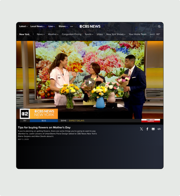 presentation image