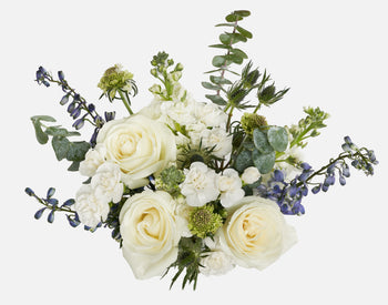 The Winter Cookie Bundle