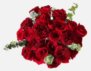 Double the Valentine