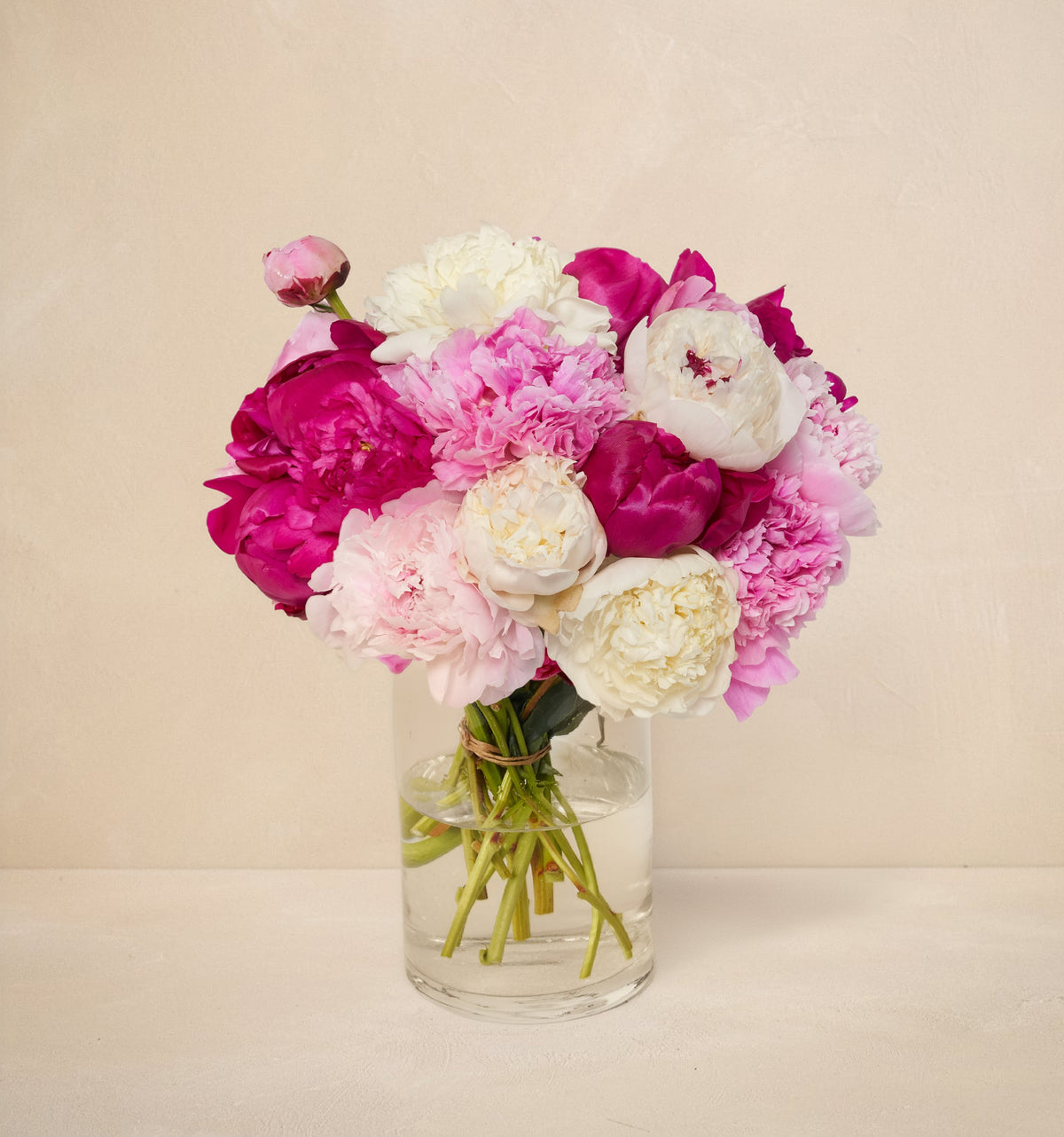 CL - The Alaskan Peony