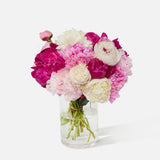 Double The Alaskan Peony