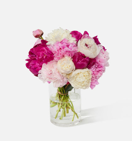 Double The Alaskan Peony