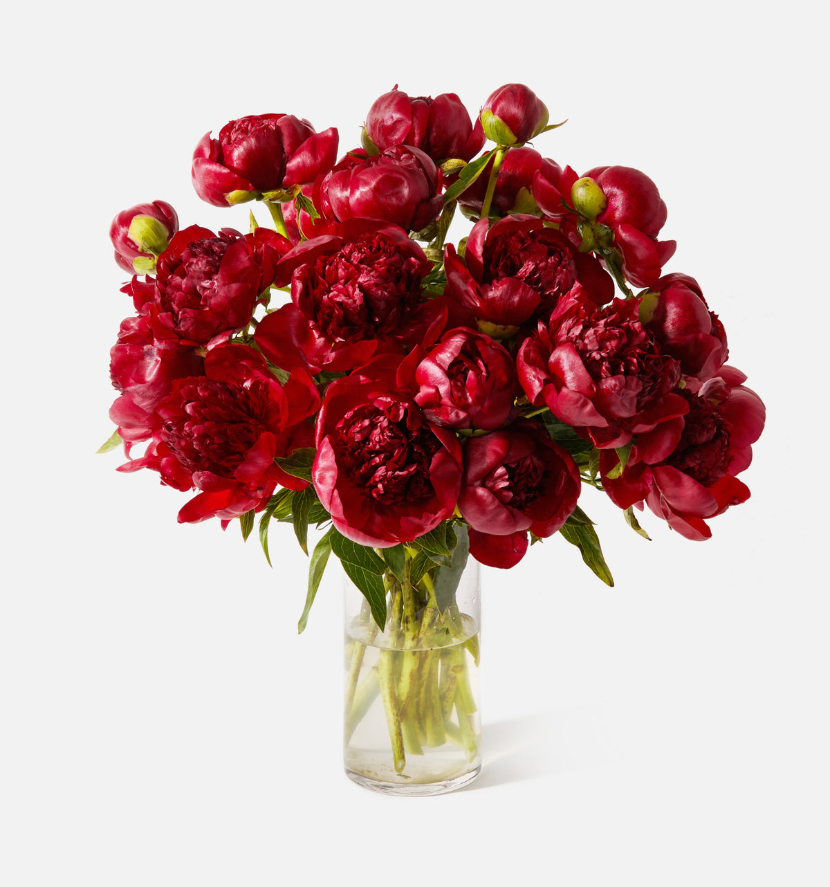 CL - The Cherry
