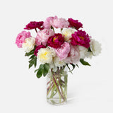 Double the Grower's Choice Peony