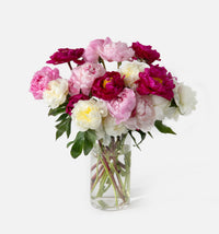 Double the Grower's Choice Peony