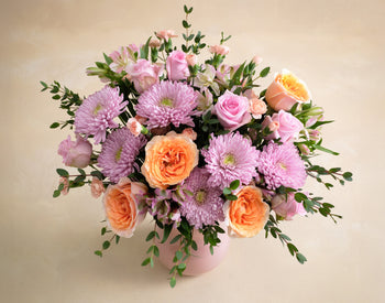 Double The Peaches N' Dreams