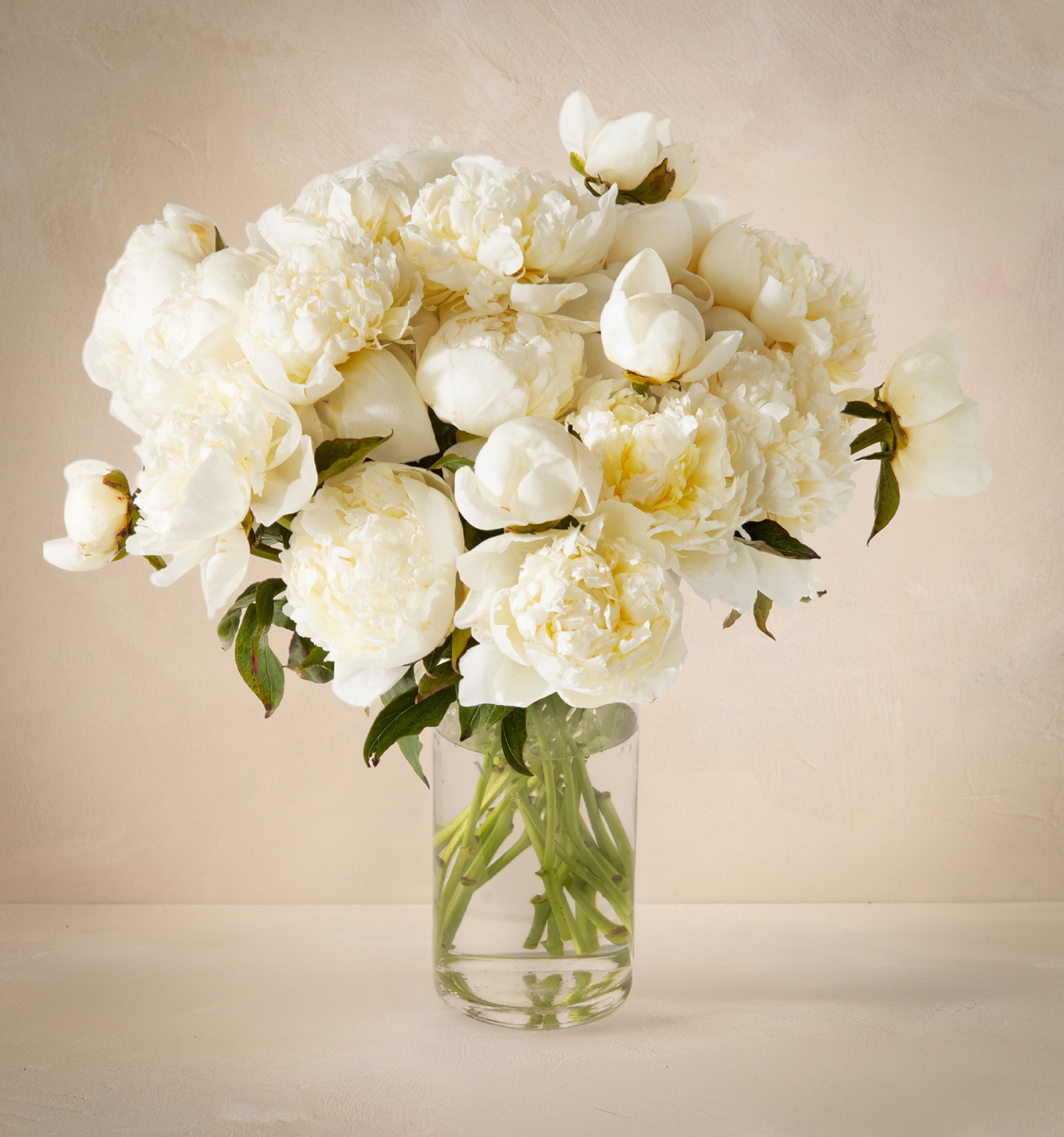 Double the Pearl | UrbanStems Flower Delivery