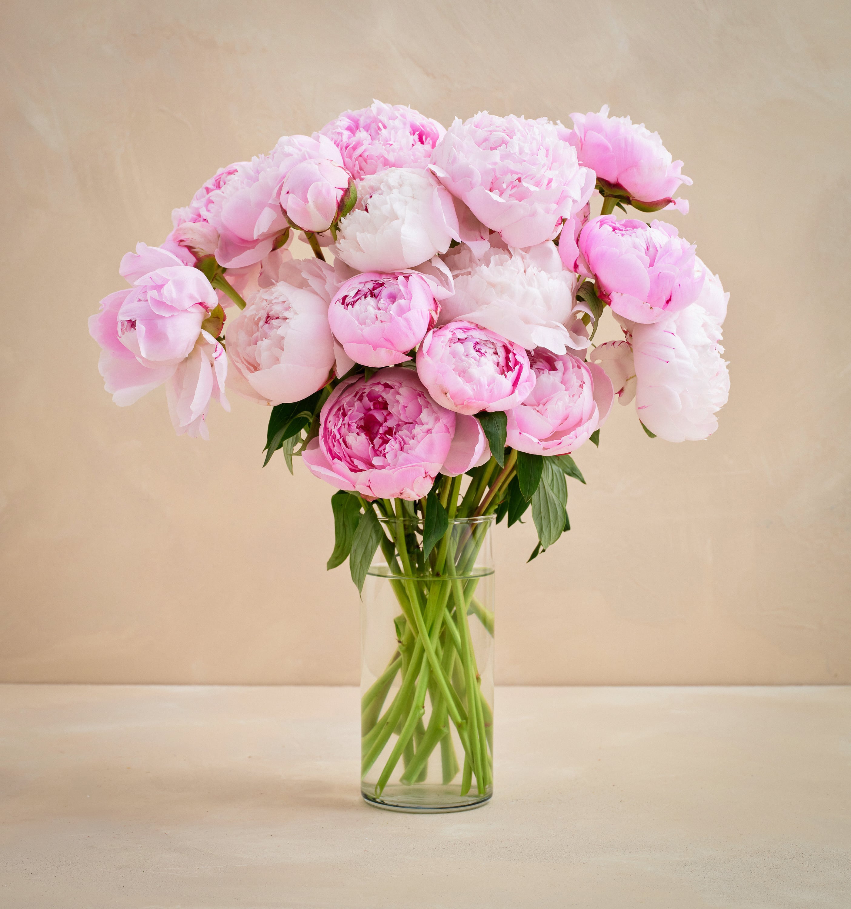 Double the Peony | UrbanStems Flower Delivery