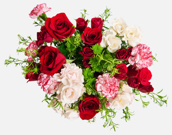 Double The Peppermint