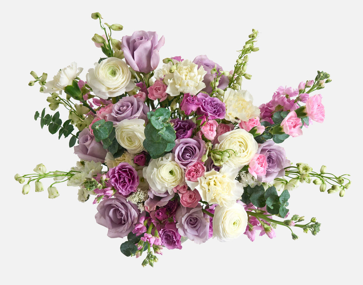 Double The Pretty In Purple