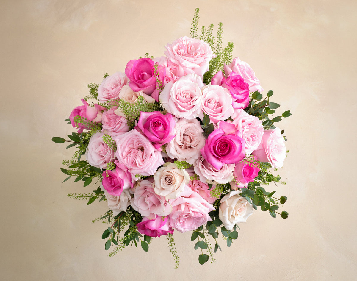 Double The Rose Garden