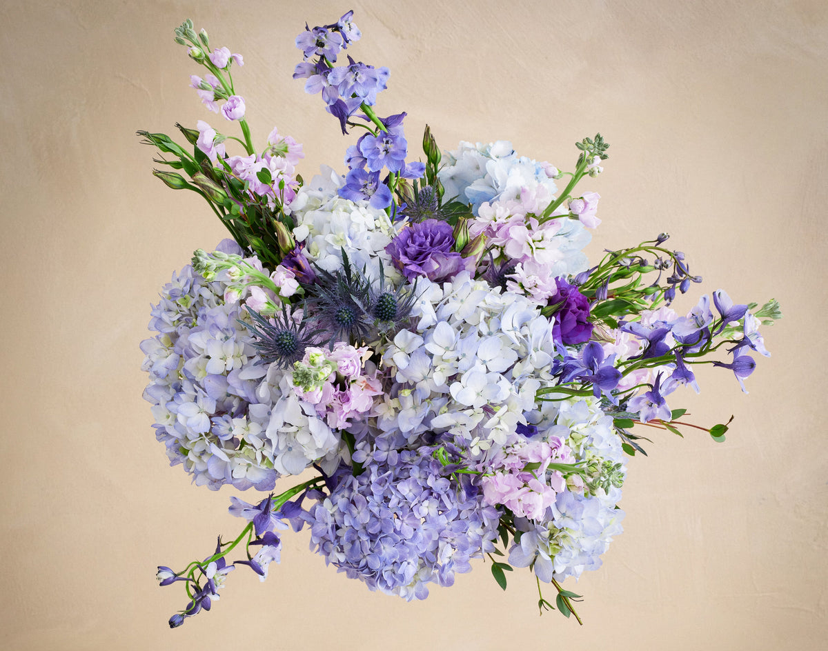 Bouquet of flowers with purple, blue, and white colors on a beige background