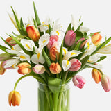 Double The Signs Of Spring