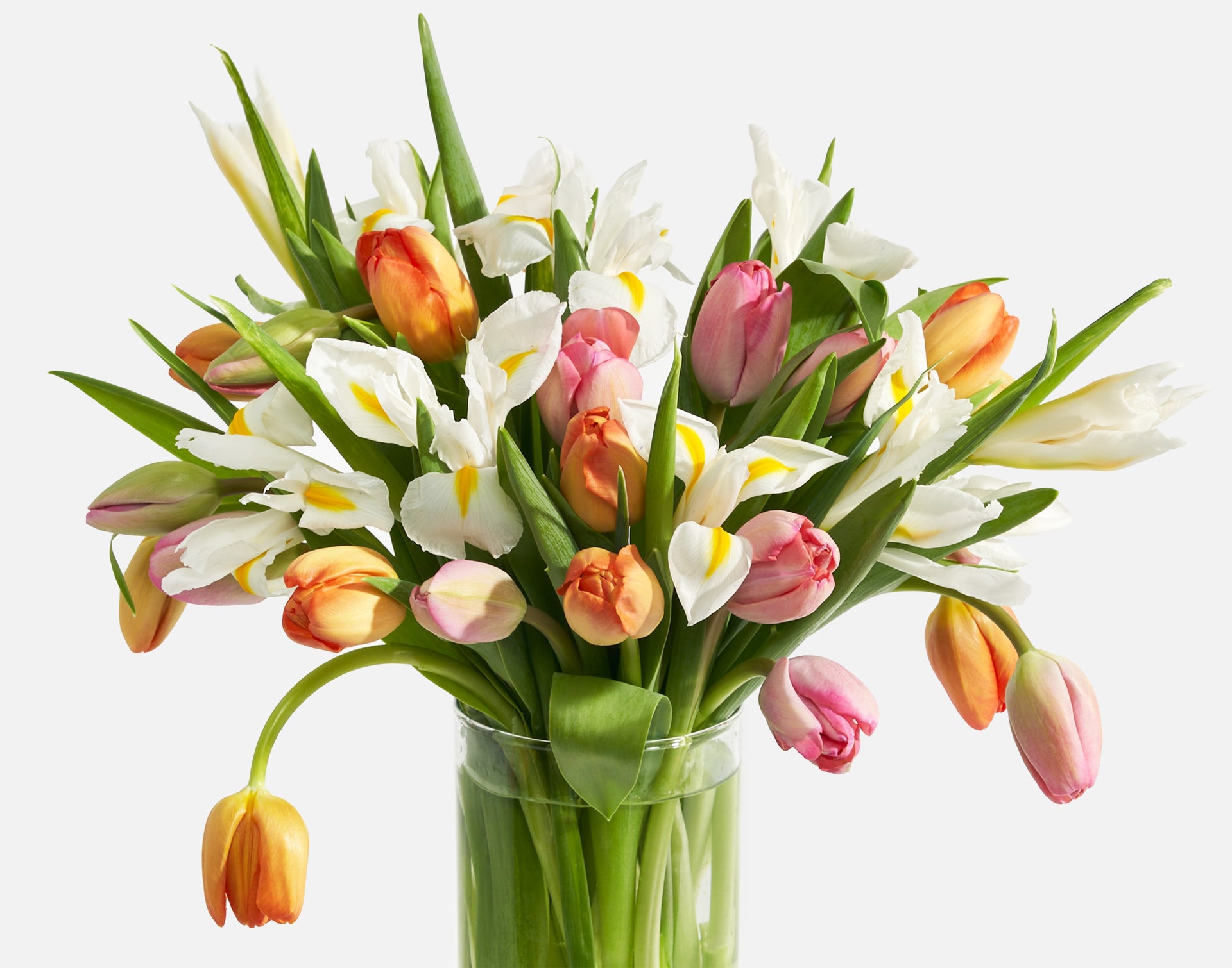 Multicolored Double Tulips Lovely Box