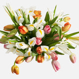 Double The Signs Of Spring