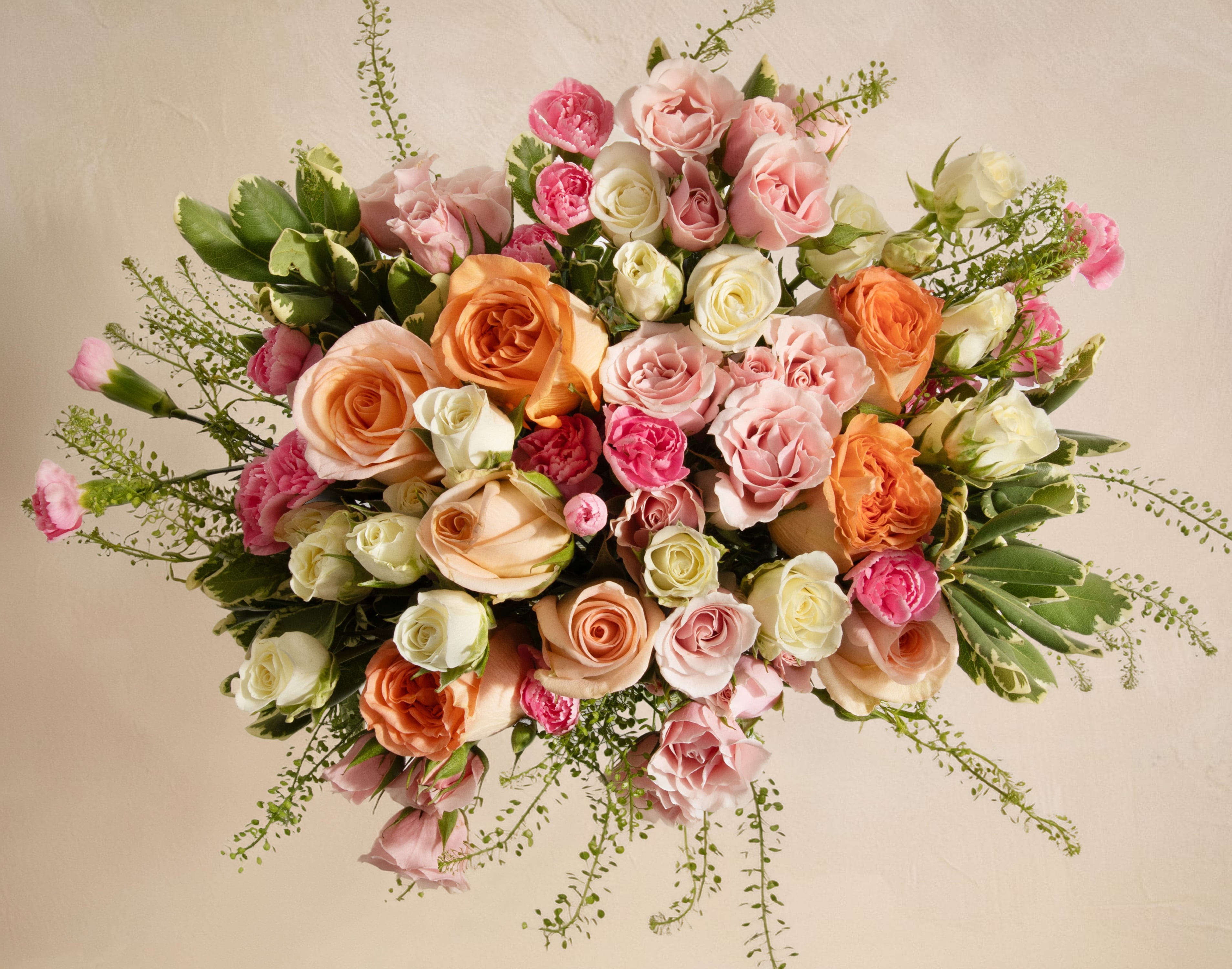 Double The Cotton Candy | UrbanStems Flower Delivery