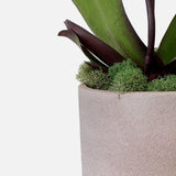 The Earthen Orchid