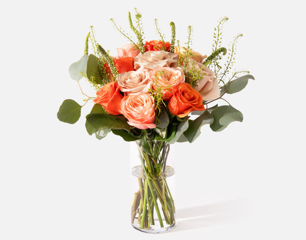 The Autumn Birthday Bundle