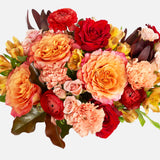 The Fiery Rose