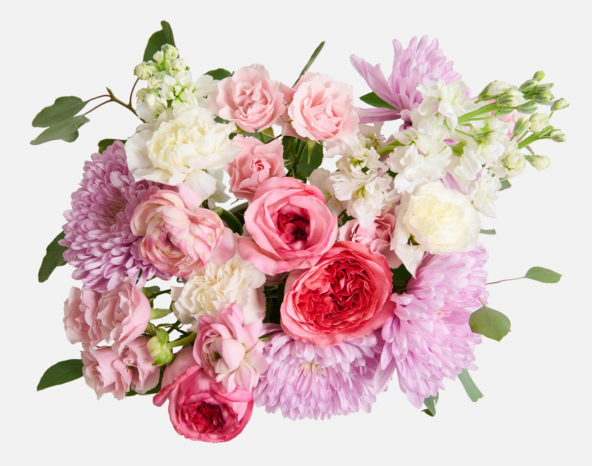 The Grand Celebration