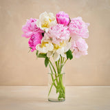 The Grower's Choice Peony