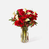 The Holiday Cookie Bundle