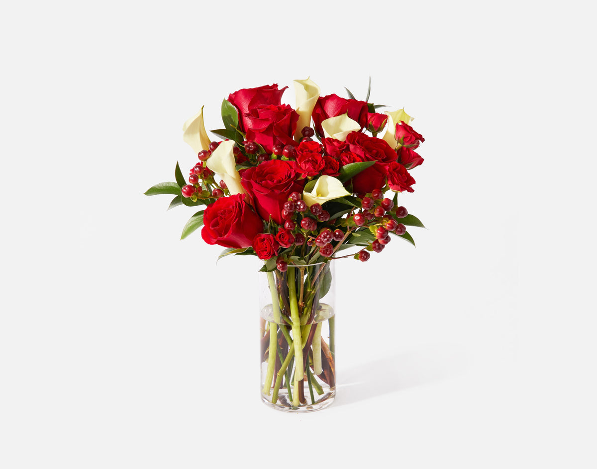 The Holiday Cookie Bundle