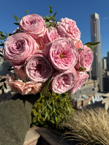 Bouquet of pink roses held against a blue sky with a building in the background