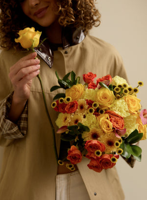 presentation image
