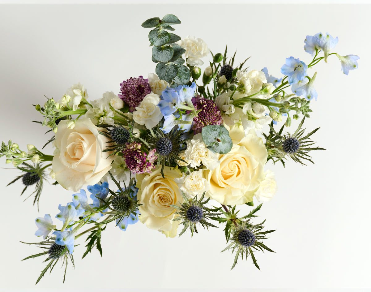 The Sweet Bloom Bundle