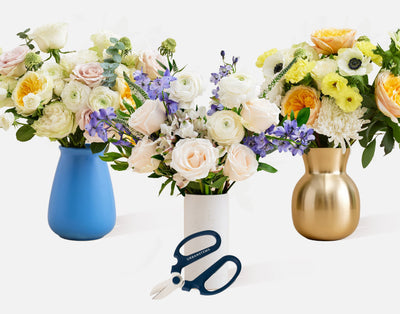 Luxe Subscription