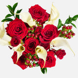 The Holiday Cookie Bundle