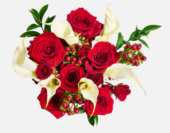 The Holiday Cookie Bundle