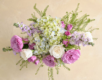 The Spring Refresher