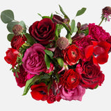 The After Dark Special