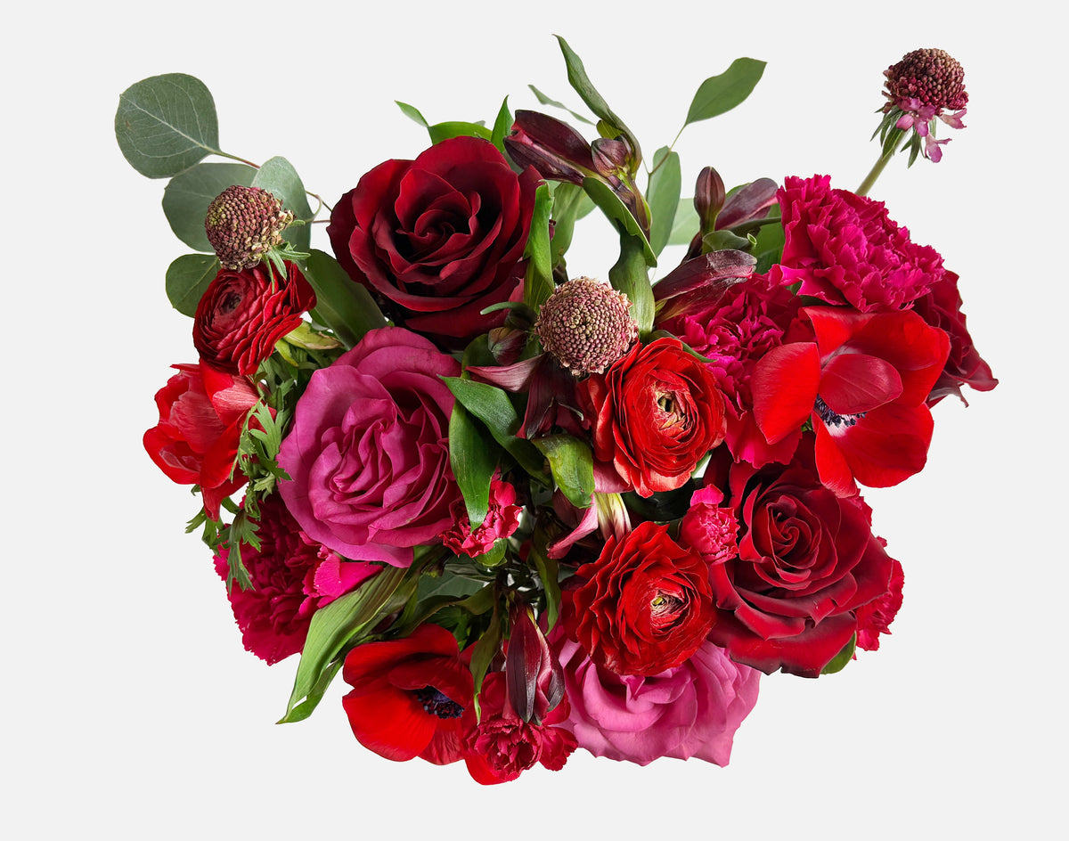 The After Dark Special