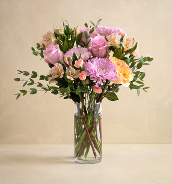 The Peaches N' Dreams